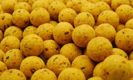 The Exotic One  35 € per 5 kg 