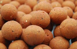 Magic Scopex      35 € per 5 kg 