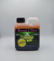 Boost Shellfish Calamares