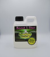 Boost Toasted Peanut Tigernut